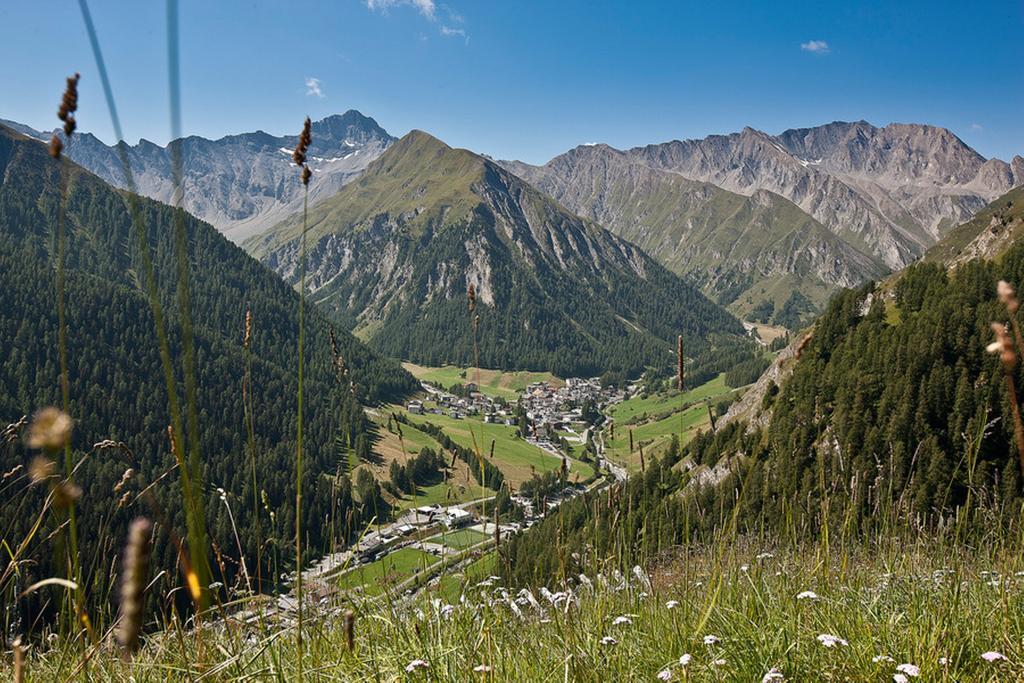 Hotel Des Alpes Самнаун Екстериор снимка